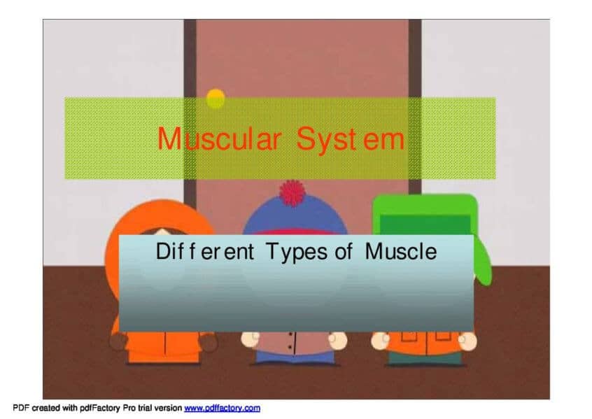 GCSE / AS Muscles and Movement - PE Scholar