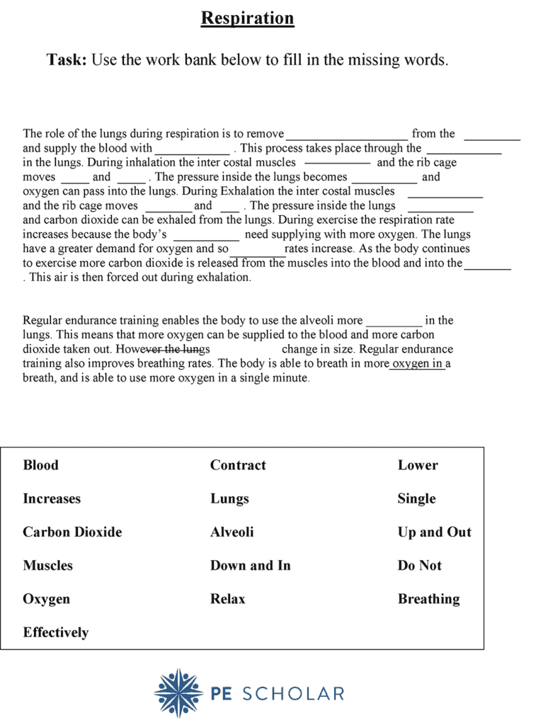 Access Respiration Worksheet For PE Lessons - PE Scholar