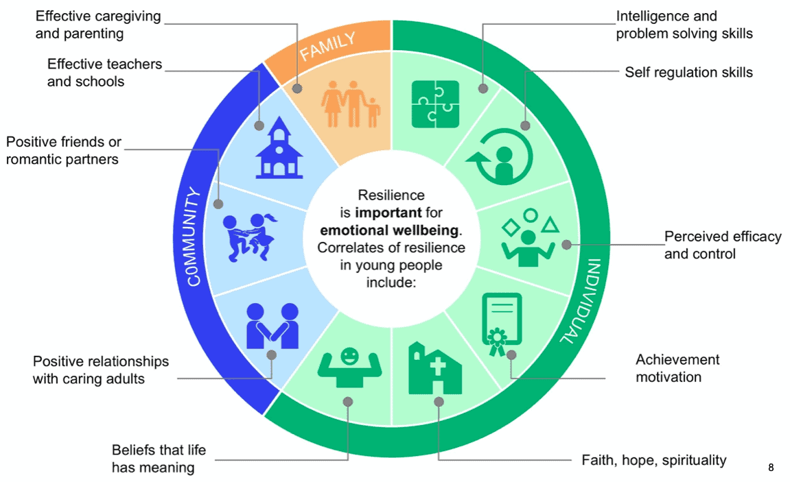 Mental Health of Children and Young People - PE Scholar